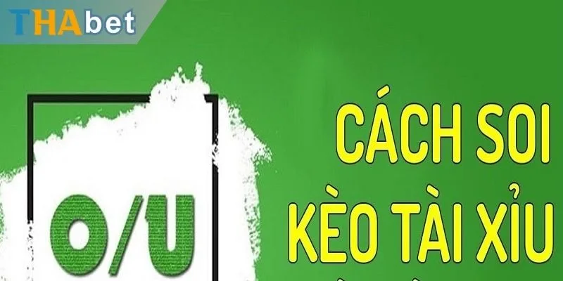 Cách soi kèo tài xỉu dựa vào tin chuyển nhượng